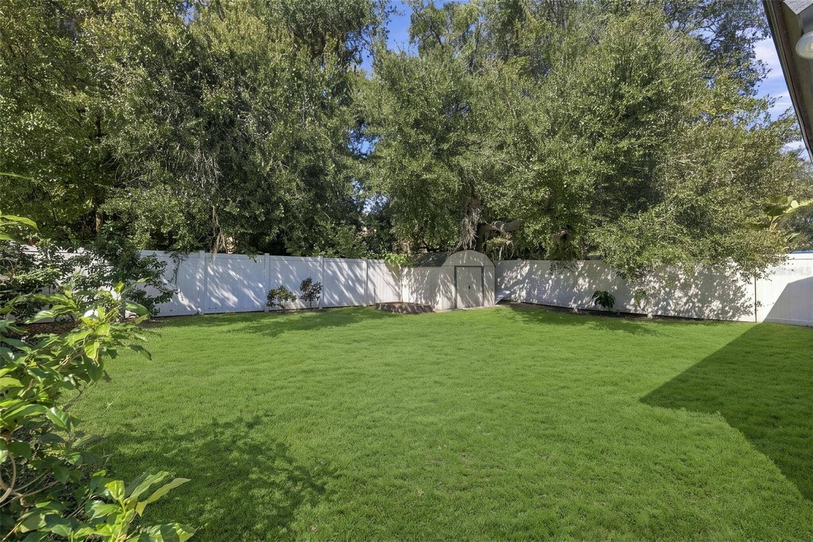 12808 DUNHILL DRIVE, Tampa, FL 33624 virtually enhanced grass