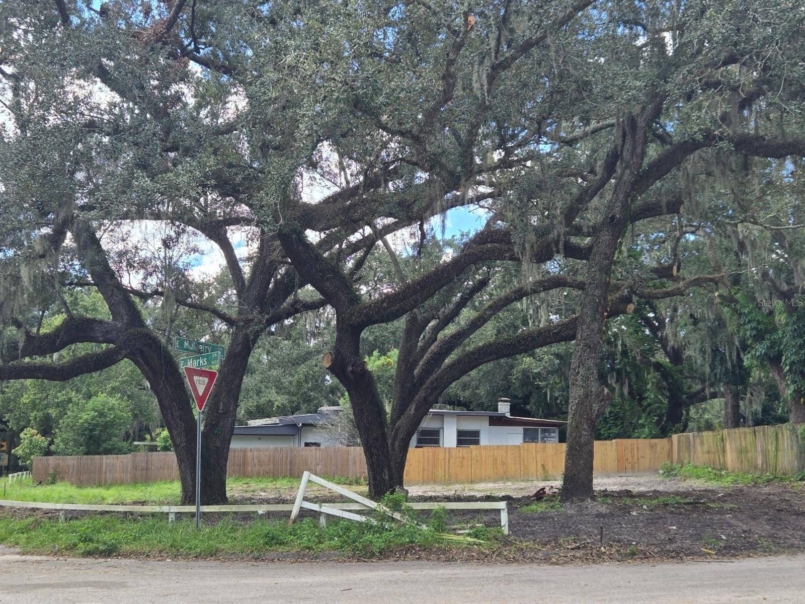 Tampa, FL 33604 View of a corner lot from the street