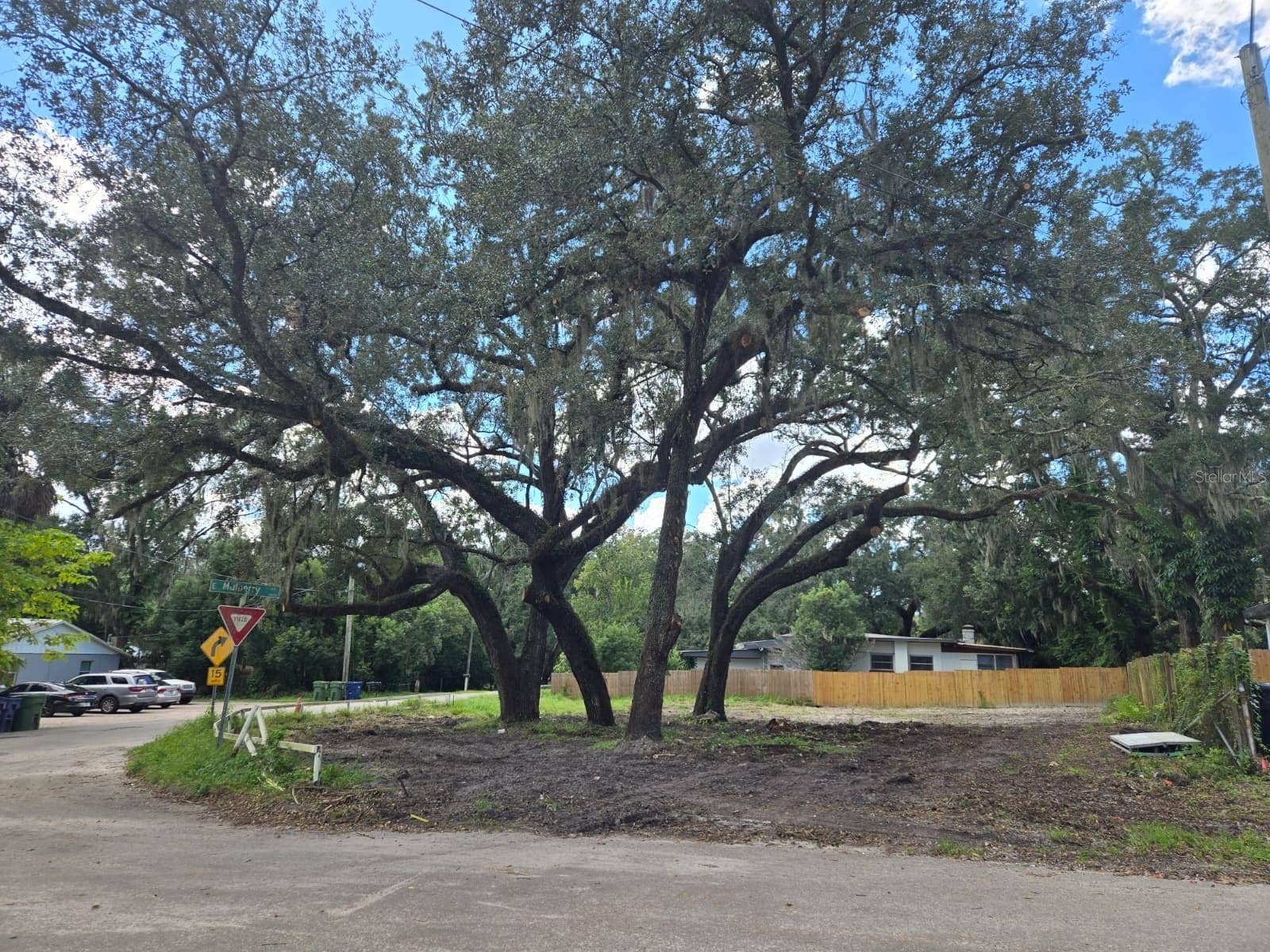 Tampa, FL 33604 View of a corner lot from the street