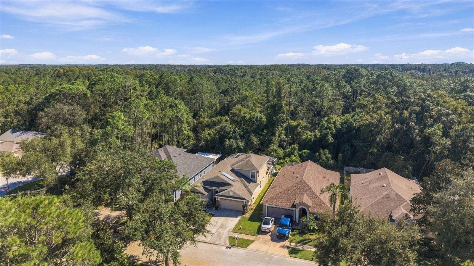 21916 WAVERLY SHORES LANE, Land O Lakes, FL 34637