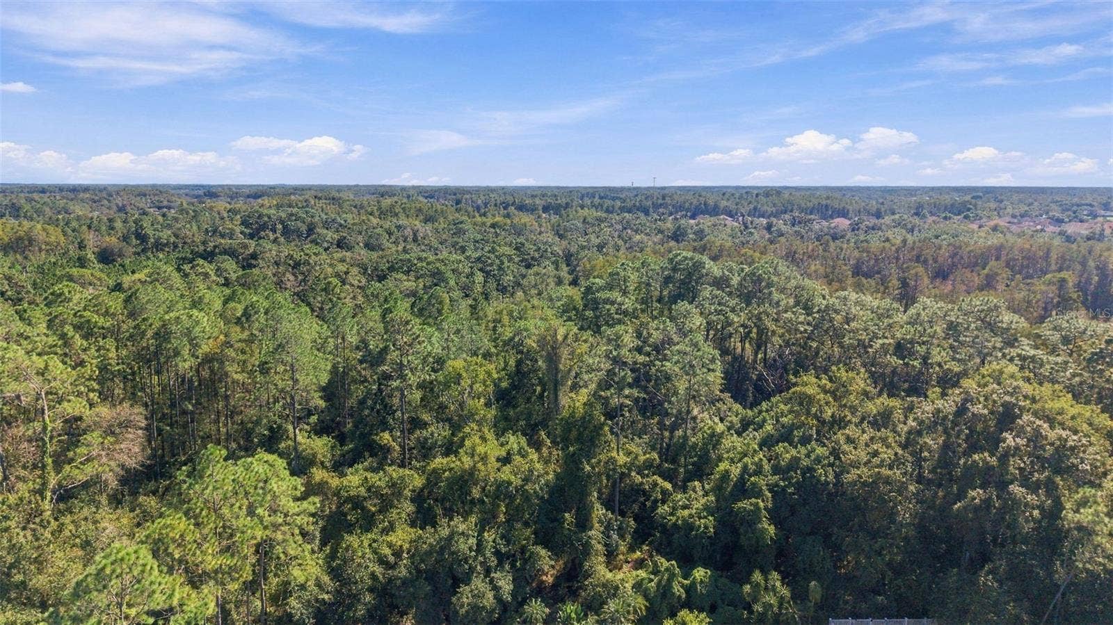 21916 WAVERLY SHORES LANE, Land O Lakes, FL 34637