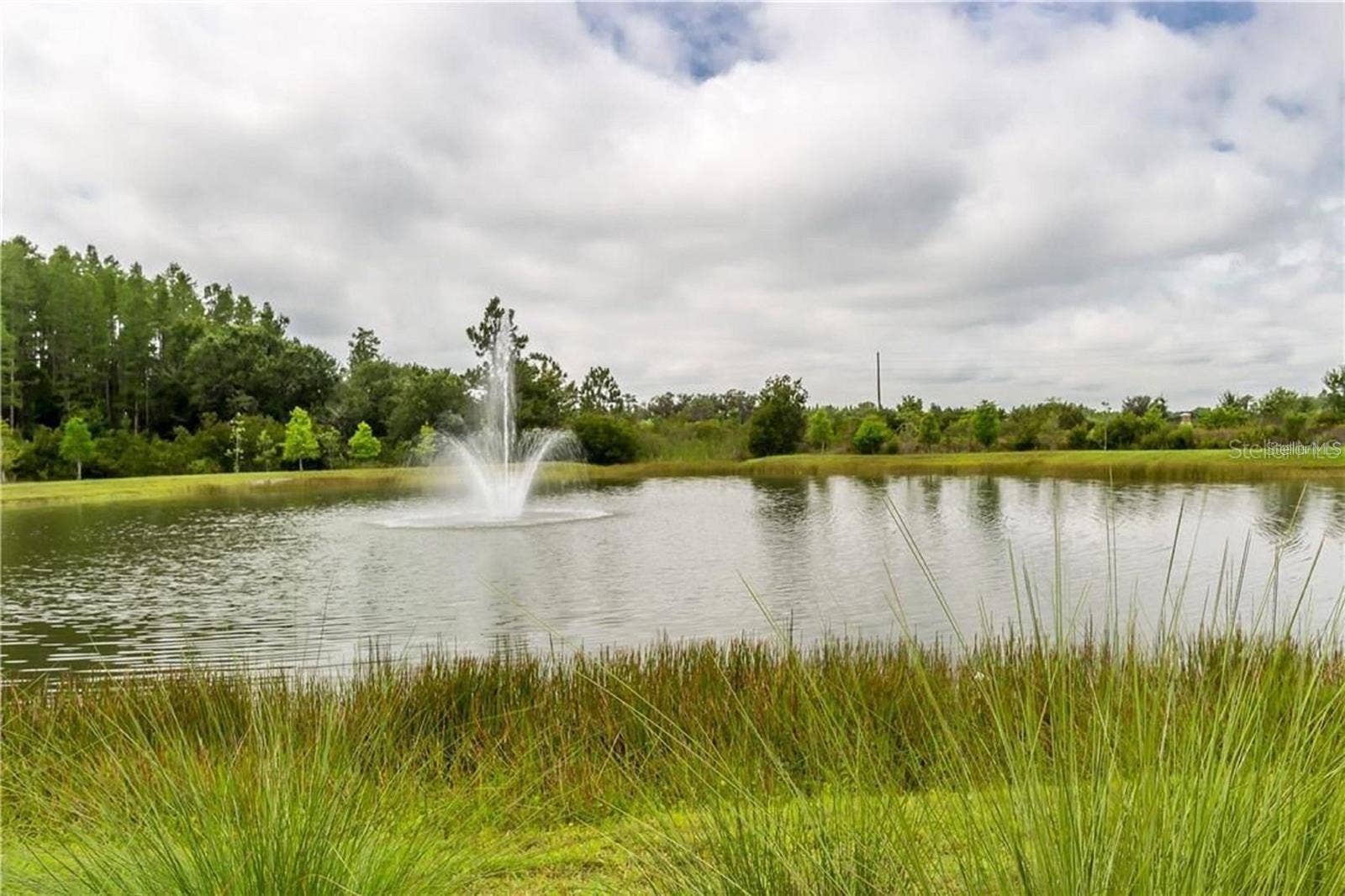 30333 SOUTHWELL LANE, Wesley Chapel, FL 33543 30333 SOUTHWELL LANE, Wesley Chapel, FL 33543
