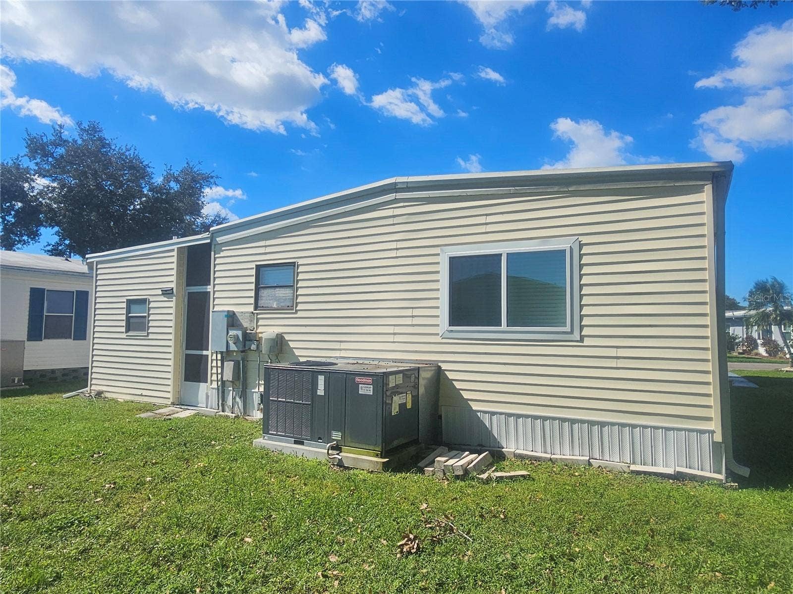 392 COBIA WAY, Oldsmar, FL 34677 Back Yard