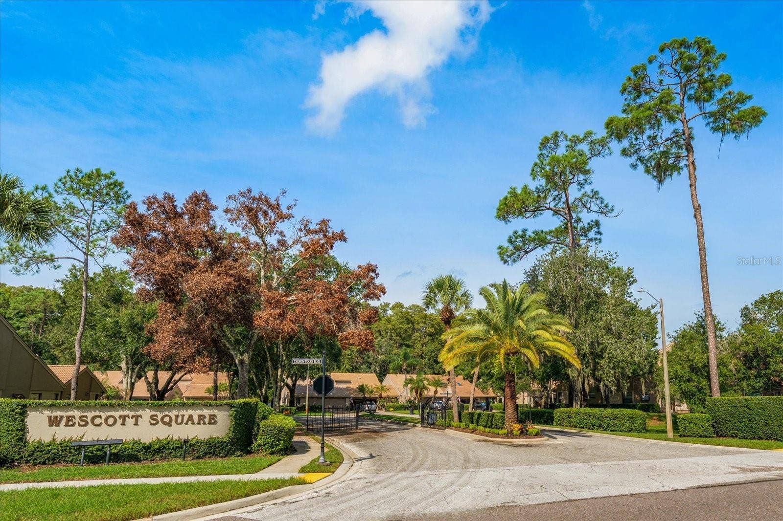 3160 JADEMOOR CIRCLE, Palm Harbor, FL 34685 Front entrance