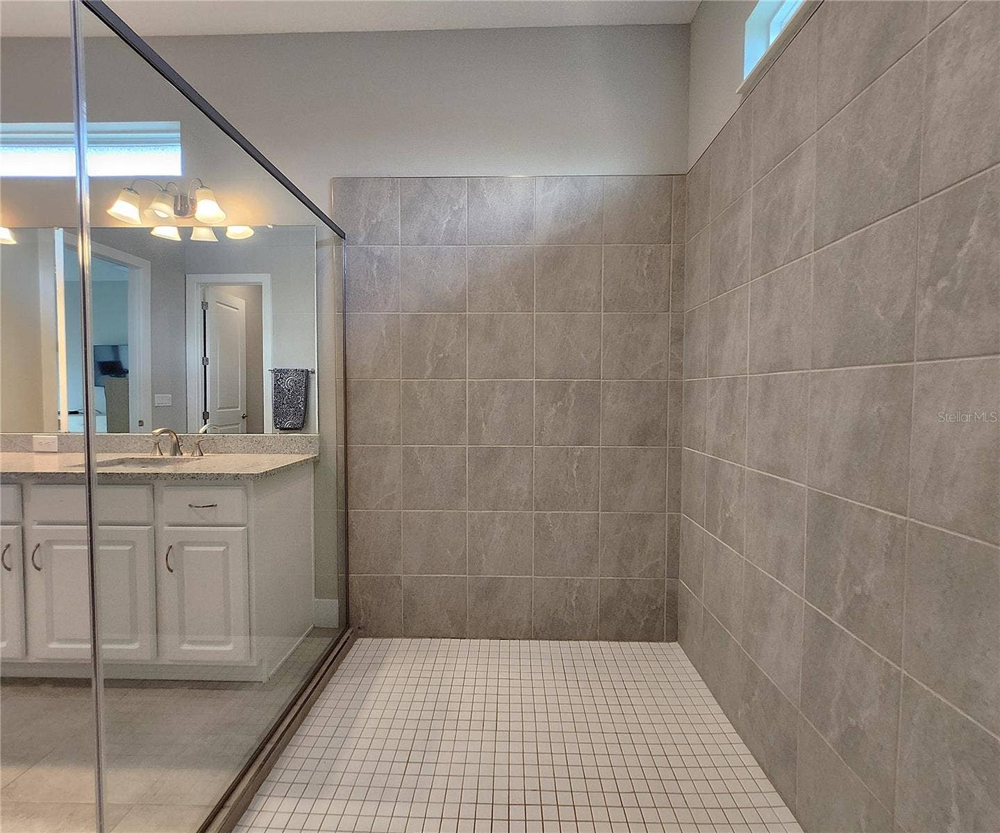 8896 DRUMMER PLANK DRIVE, Wesley Chapel, FL 33545 Master bathroom includes large walk-in tiled shower, water closet, walk-in closet, dual sink vanity, granite countertops