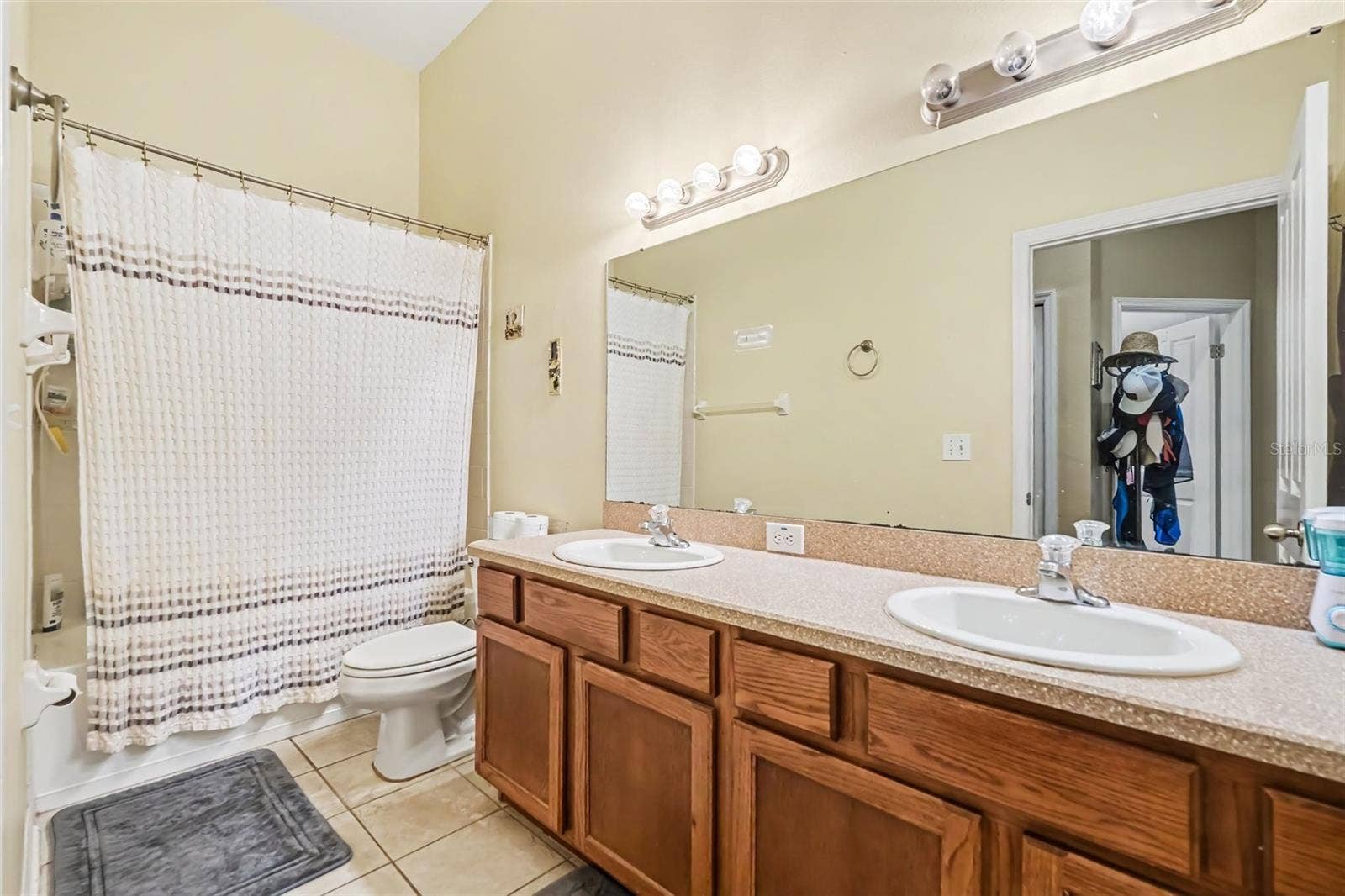 6805 BLUFF MEADOW COURT, Wesley Chapel, FL 33545
