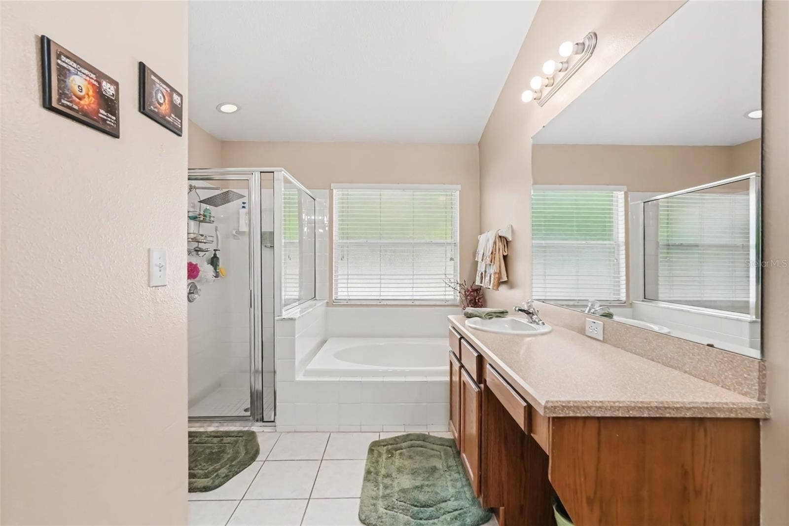 6805 BLUFF MEADOW COURT, Wesley Chapel, FL 33545