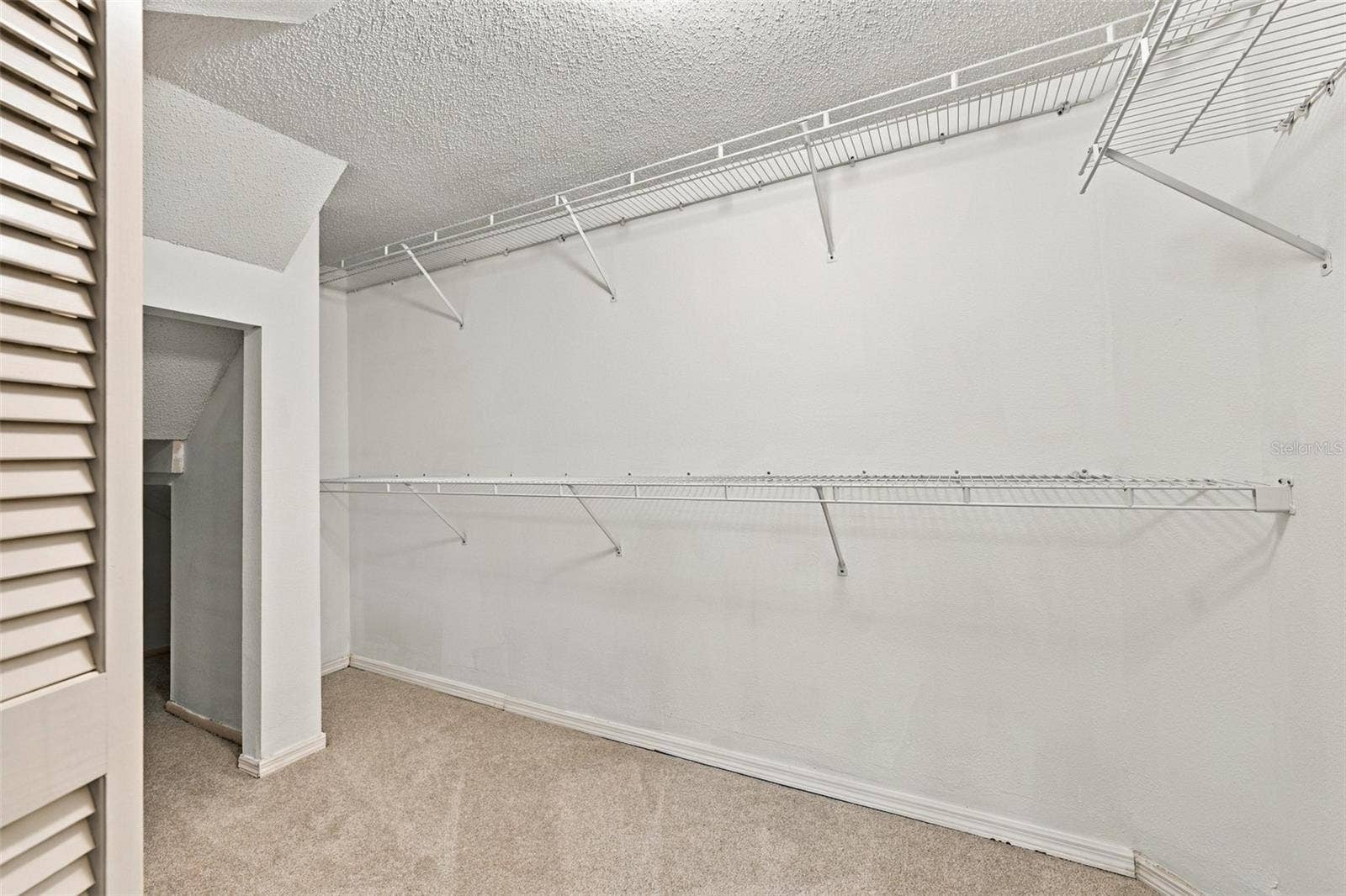 11109 CLAYRIDGE DRIVE, Tampa, FL 33635