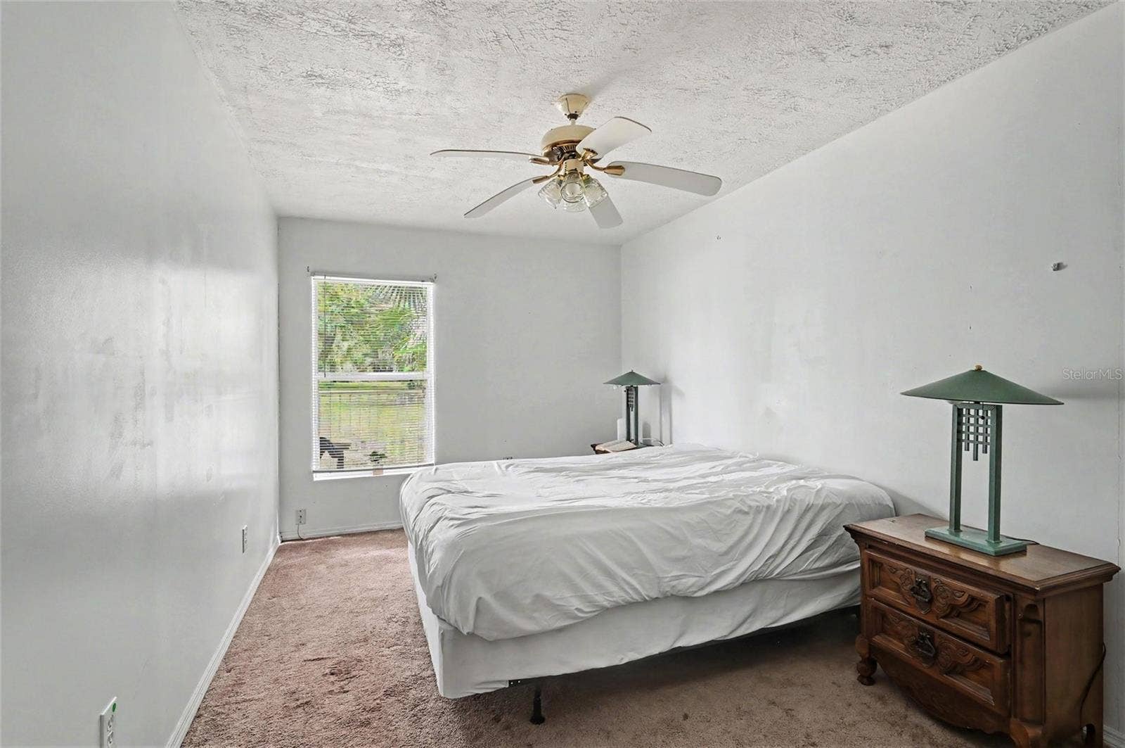 415 THOMAS AVENUE, Leesburg, FL 34748