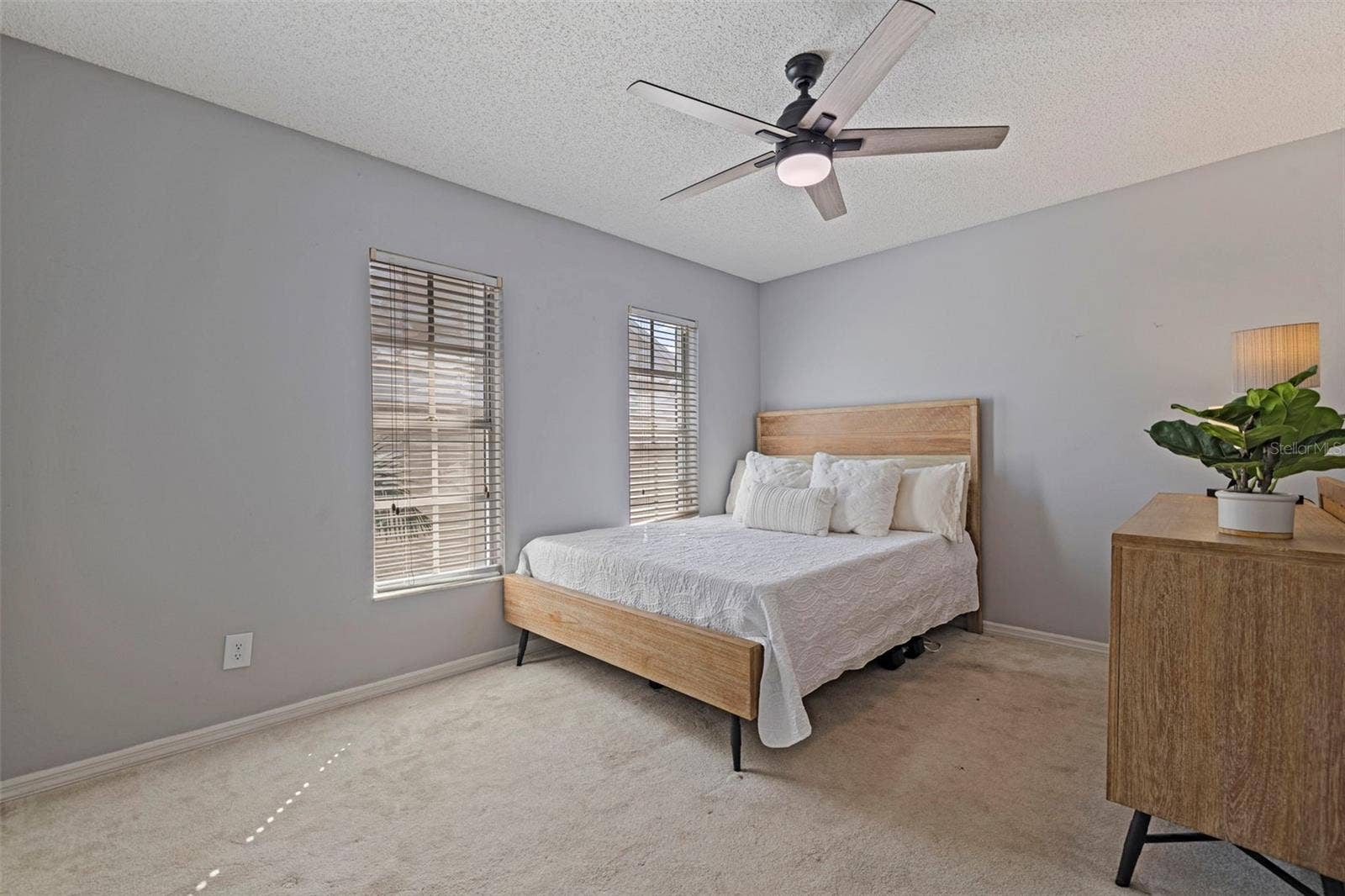 2802 W CLEVELAND STREET, #B, Tampa, FL 33609 2802 W CLEVELAND STREET, #B, Tampa, FL 33609