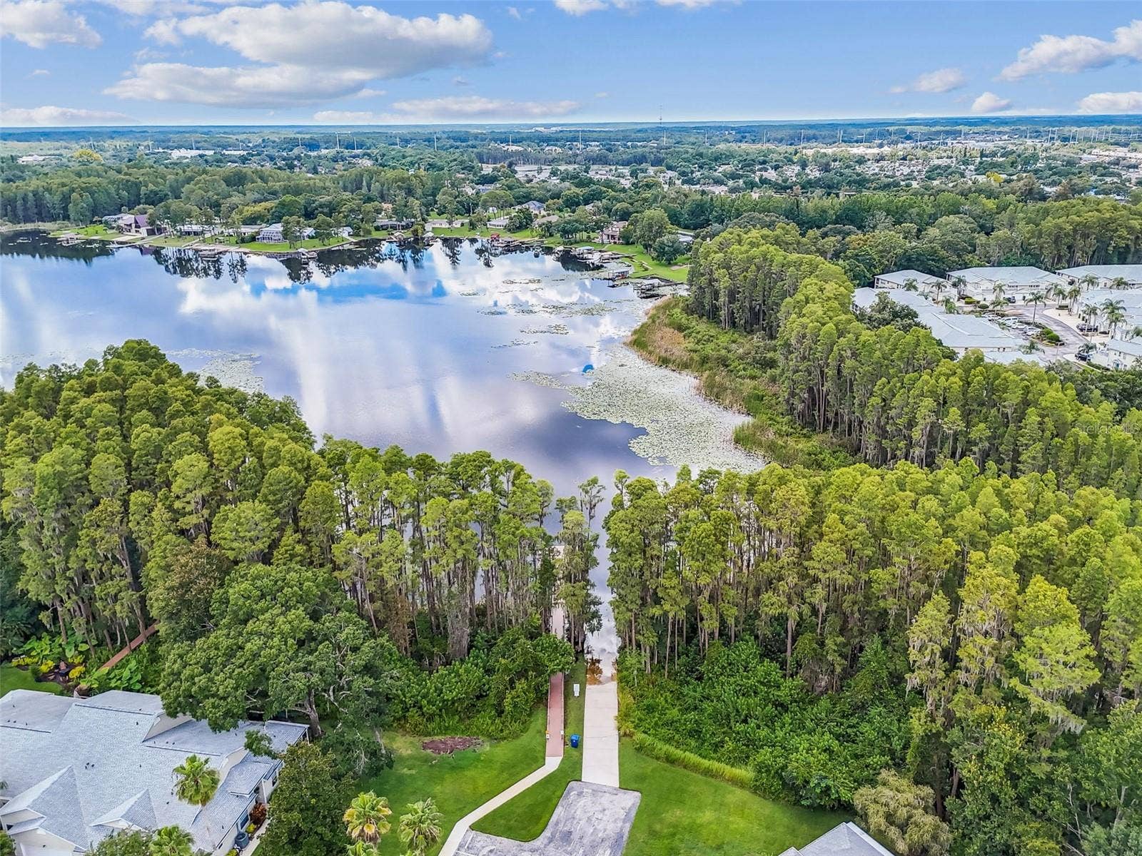 1627 HAMMOCKS AVENUE, Lutz, FL 33549 1627 HAMMOCKS AVENUE, Lutz, FL 33549