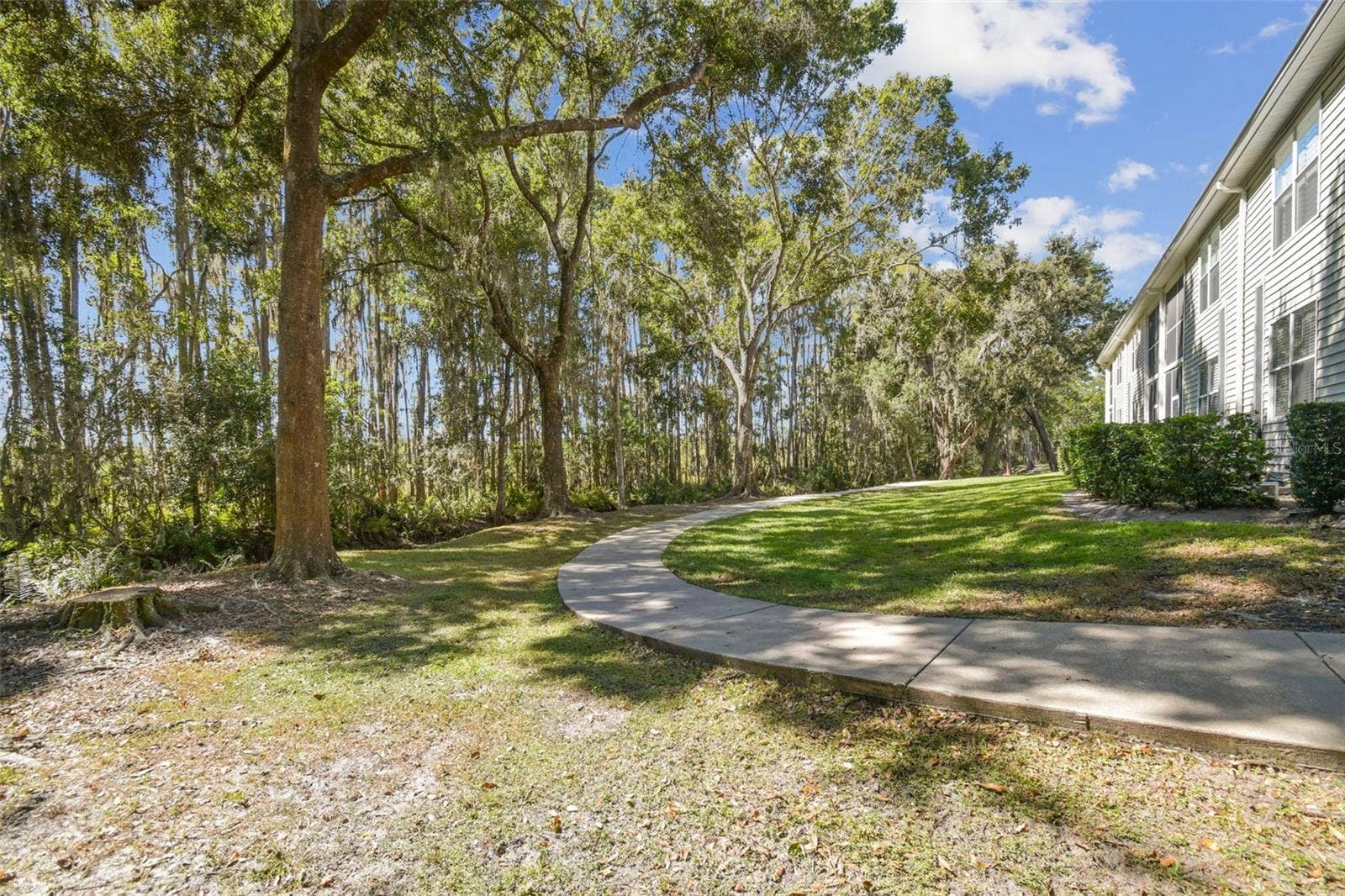 1627 HAMMOCKS AVENUE, Lutz, FL 33549 1627 HAMMOCKS AVENUE, Lutz, FL 33549