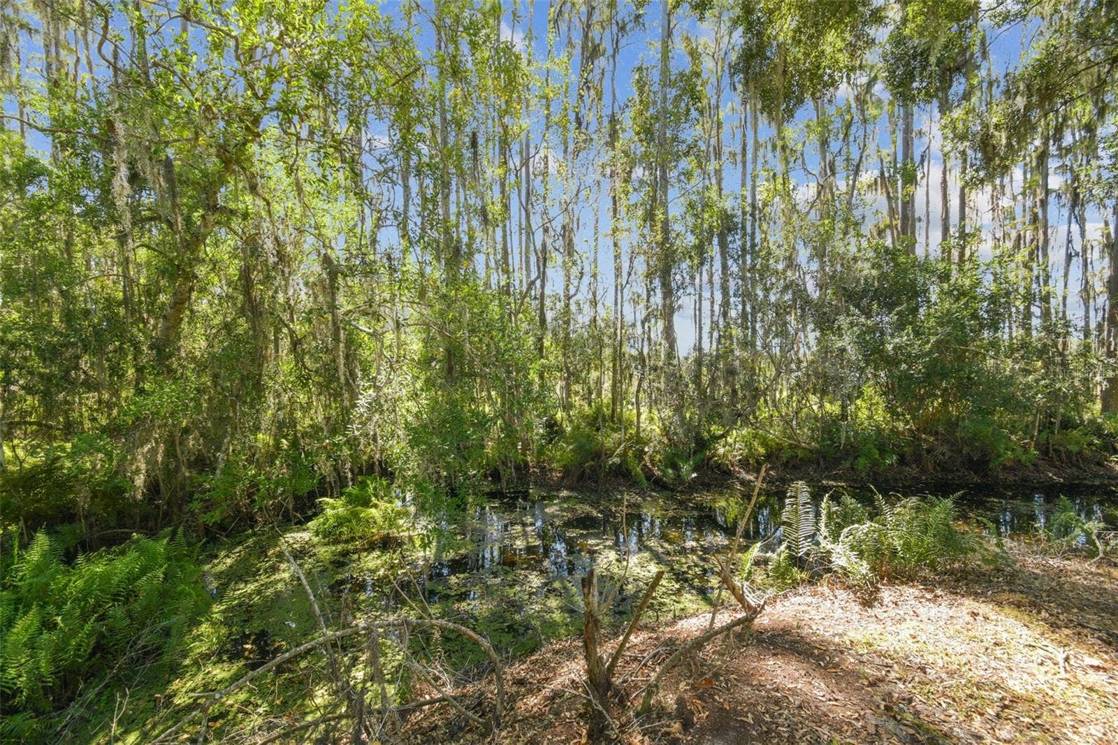 1627 HAMMOCKS AVENUE, Lutz, FL 33549 1627 HAMMOCKS AVENUE, Lutz, FL 33549
