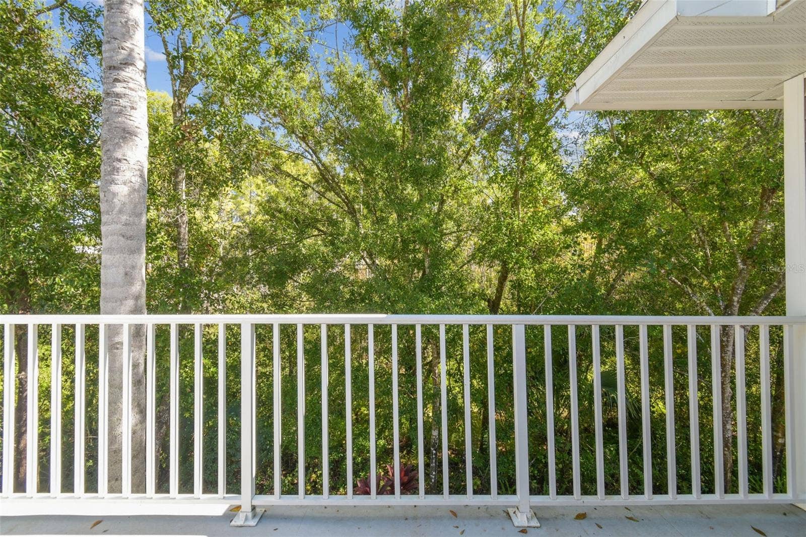 1627 HAMMOCKS AVENUE, Lutz, FL 33549 1627 HAMMOCKS AVENUE, Lutz, FL 33549