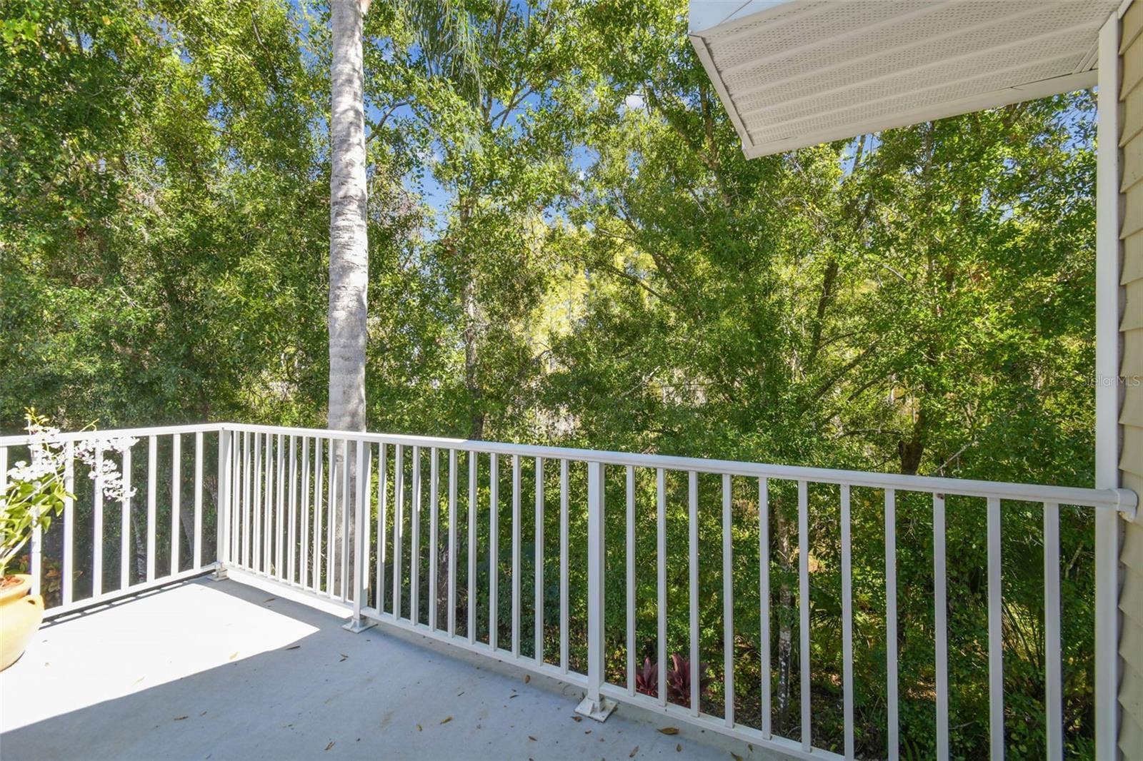 1627 HAMMOCKS AVENUE, Lutz, FL 33549 1627 HAMMOCKS AVENUE, Lutz, FL 33549