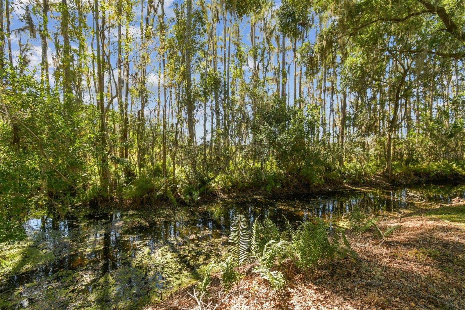 1627 HAMMOCKS AVENUE, Lutz, FL 33549 1627 HAMMOCKS AVENUE, Lutz, FL 33549