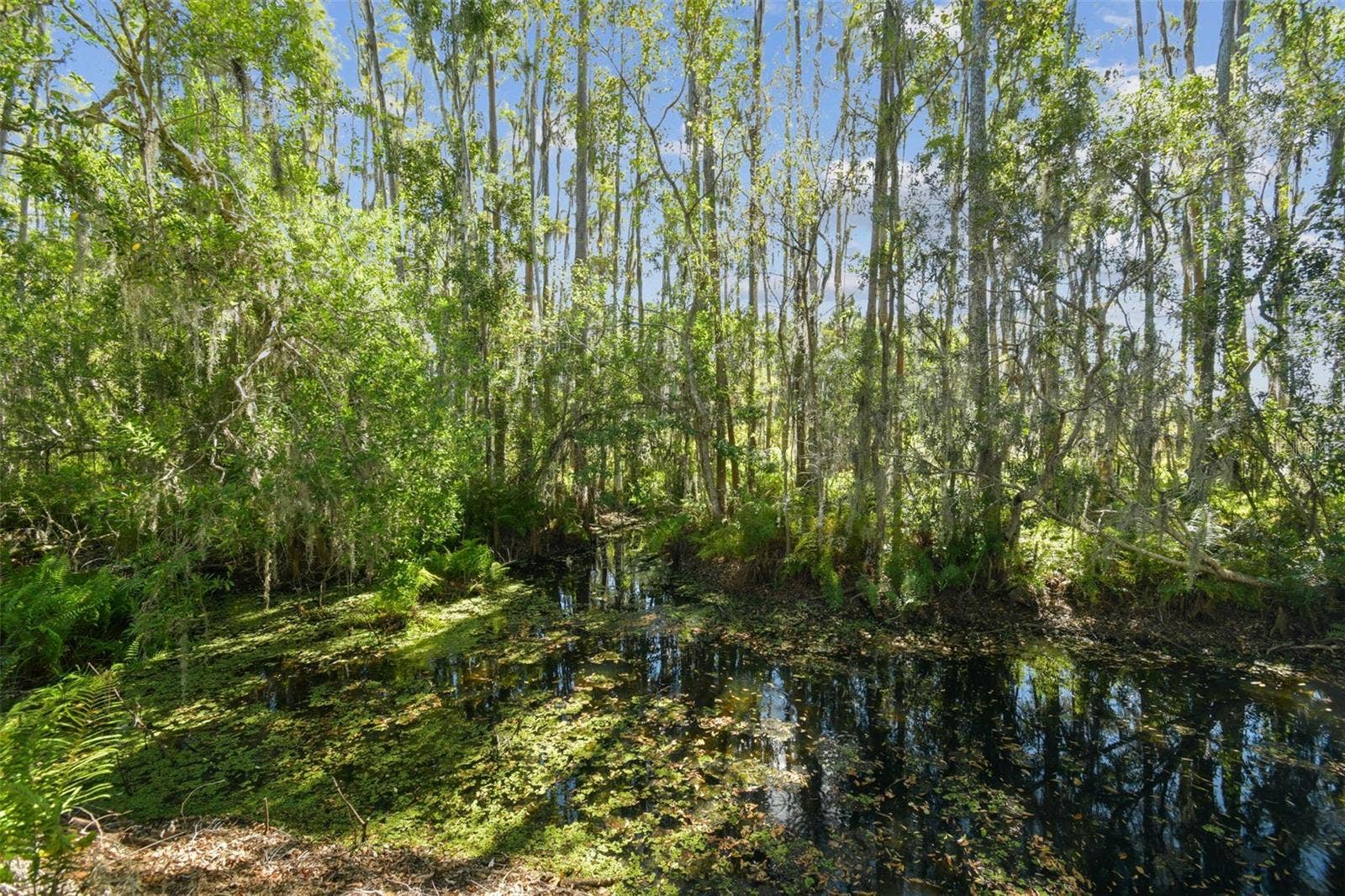 1627 HAMMOCKS AVENUE, Lutz, FL 33549 1627 HAMMOCKS AVENUE, Lutz, FL 33549