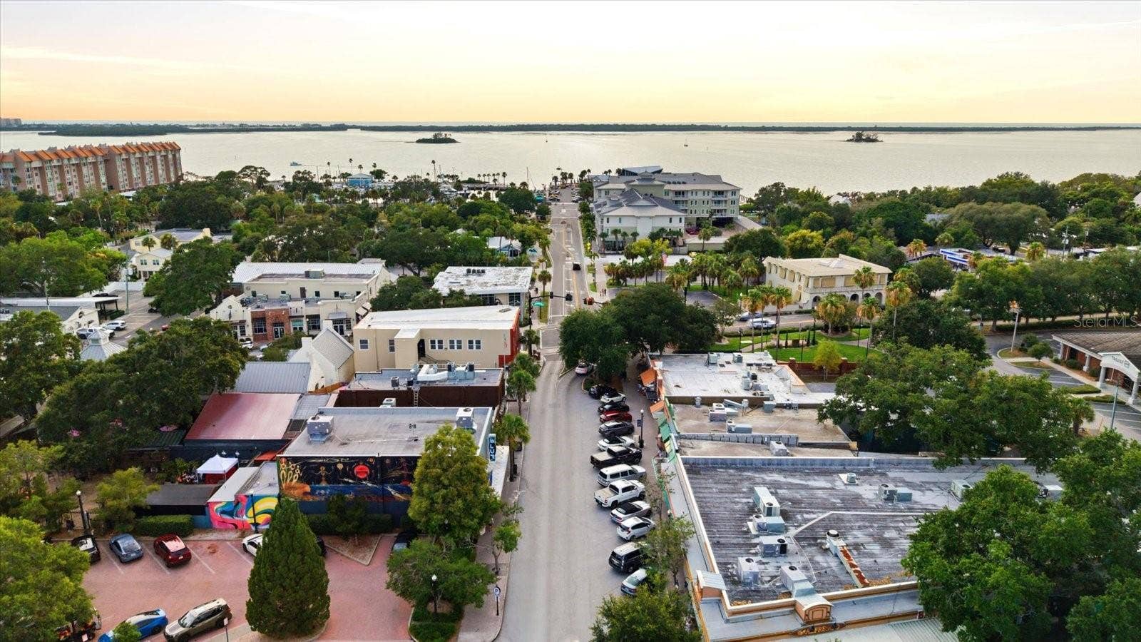 Downtown Dunedin and water views