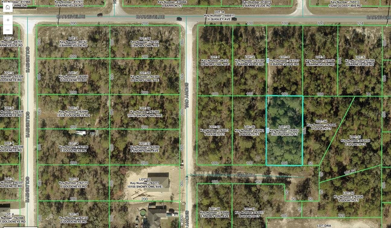 13031 GOLIATH COURT, Weeki Wachee, FL 34614 13031 GOLIATH COURT, Weeki Wachee, FL 34614