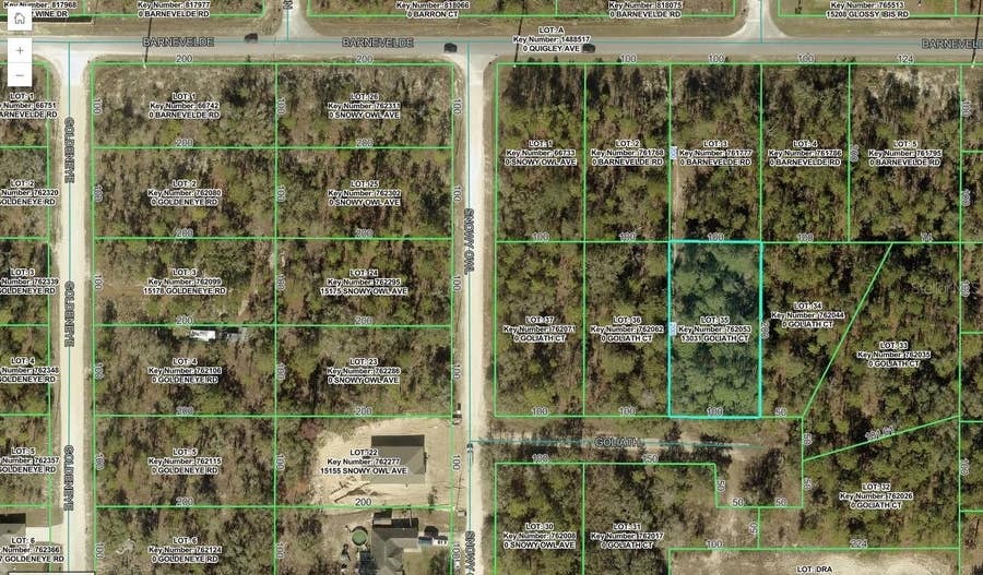 Property photo for 13031 GOLIATH COURT, Weeki Wachee, FL