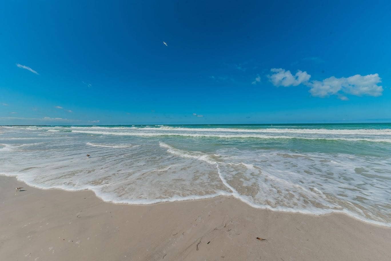3575 GULF BOULEVARD, #204, St Pete Beach, FL 33706