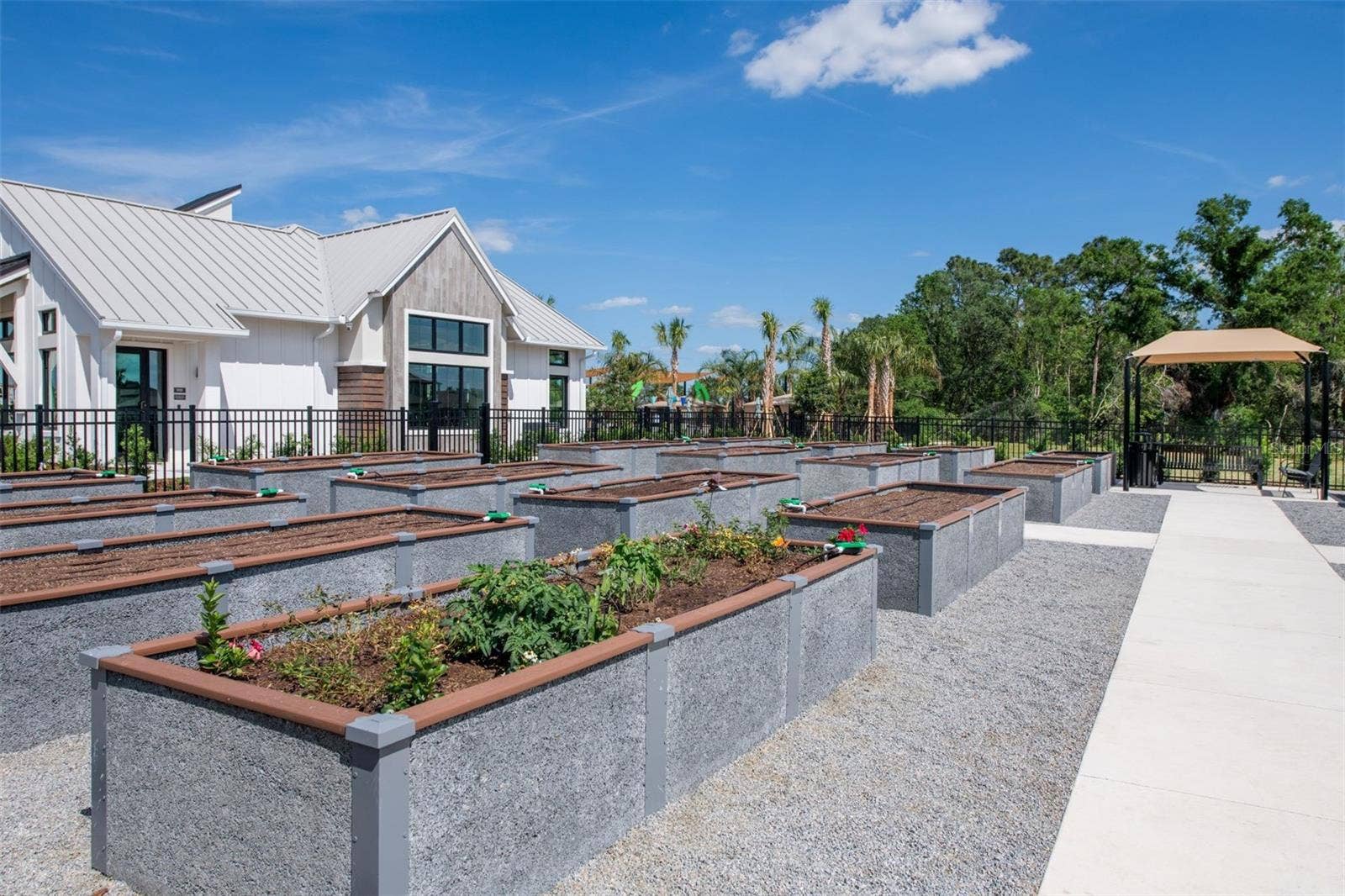 6635 BLAZING SPIRIT STREET, Wesley Chapel, FL 33545 Vidas Bloom Community Garden