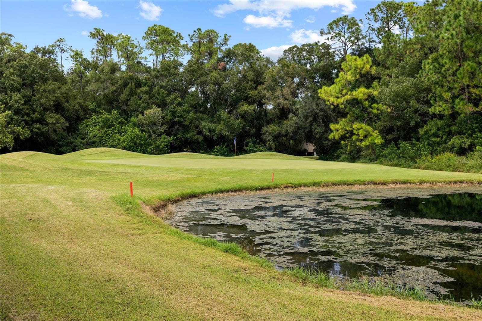 12009 BREWSTER DRIVE, Tampa, FL 33626 12009 BREWSTER DRIVE, Tampa, FL 33626