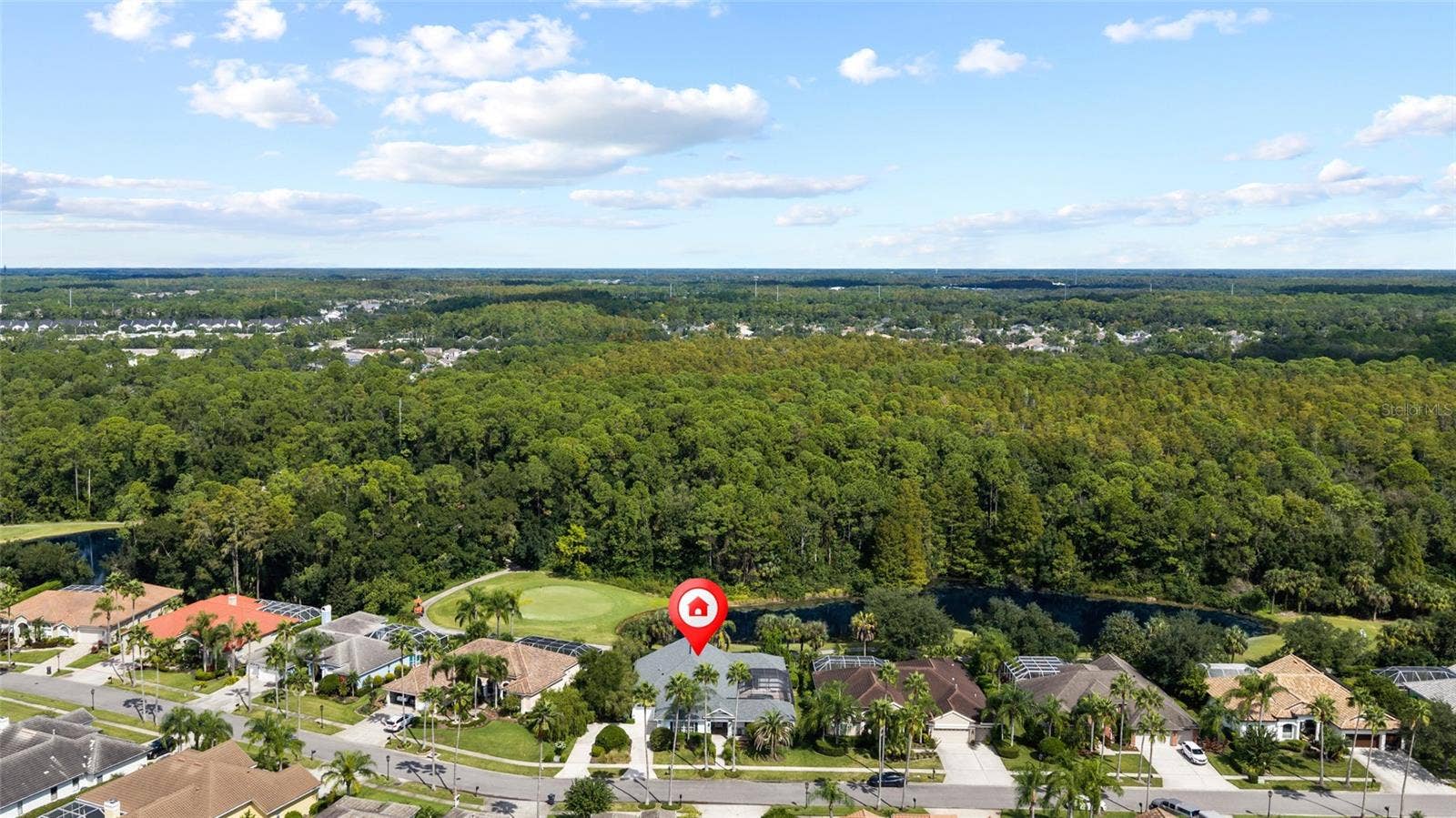 12009 BREWSTER DRIVE, Tampa, FL 33626 12009 BREWSTER DRIVE, Tampa, FL 33626