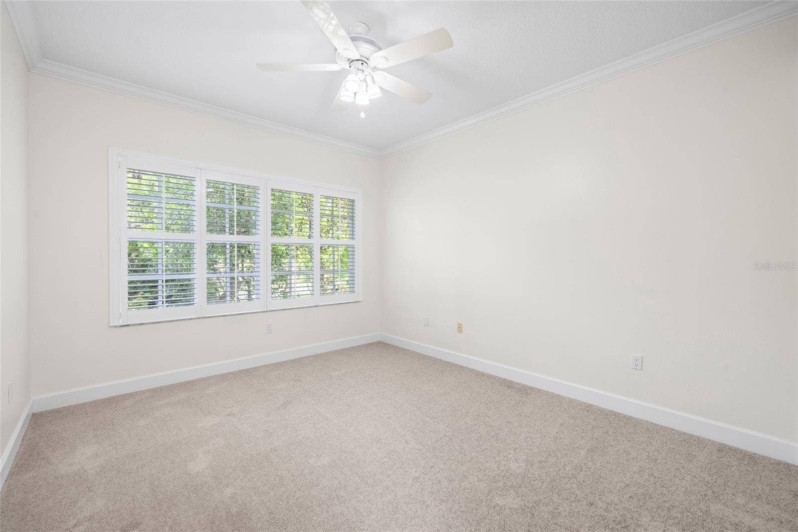 12009 BREWSTER DRIVE, Tampa, FL 33626 12009 BREWSTER DRIVE, Tampa, FL 33626