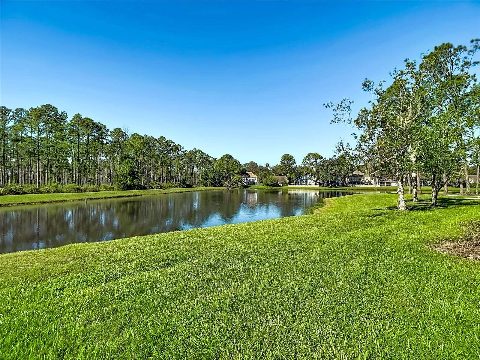 9481 HIGHLAND OAK DRIVE, #1202, Tampa, FL 33647