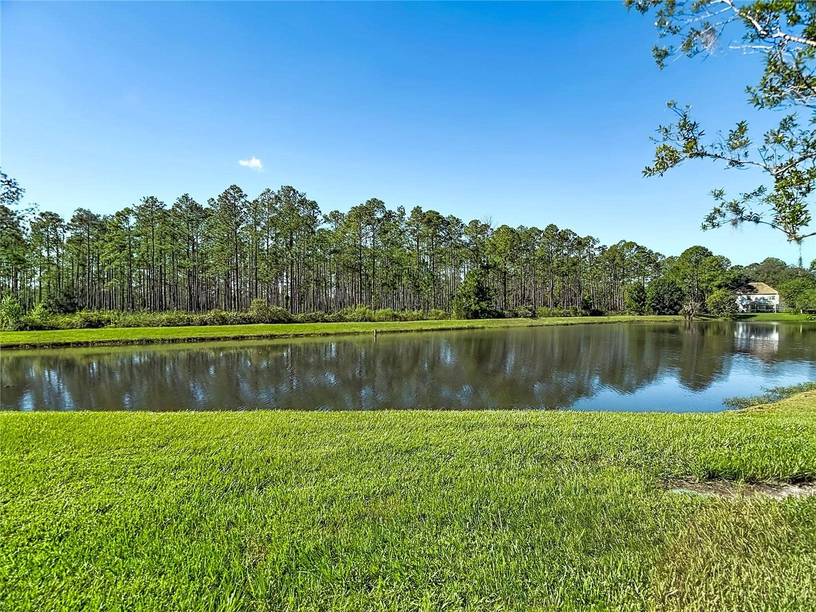 9481 HIGHLAND OAK DRIVE, #1202, Tampa, FL 33647