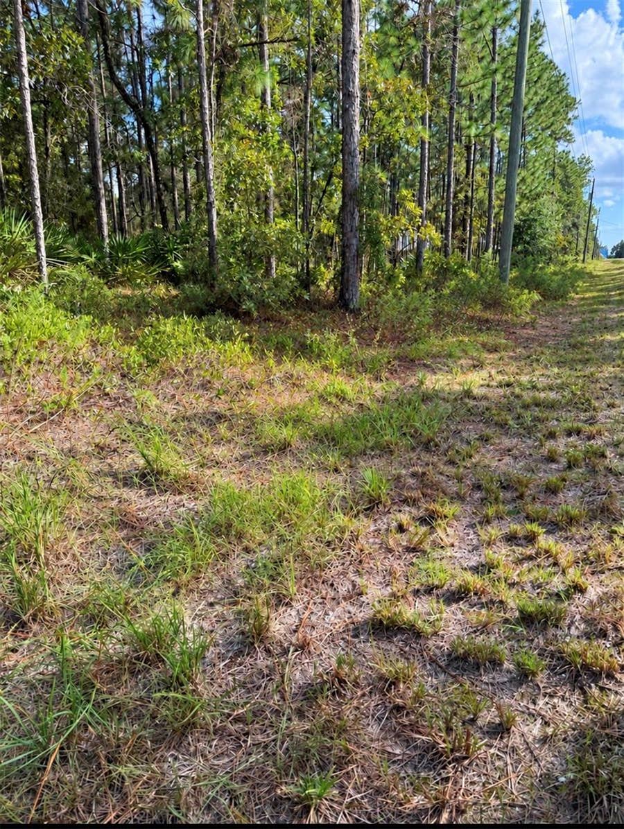 Property photo for 16154 MALDEN ROAD, Weeki Wachee, FL