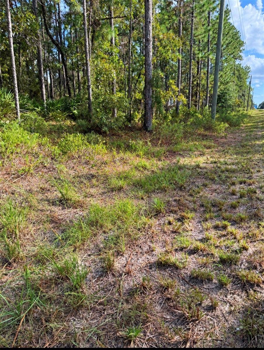 16154 MALDEN ROAD, Weeki Wachee, FL 34614 16154 MALDEN ROAD, Weeki Wachee, FL 34614