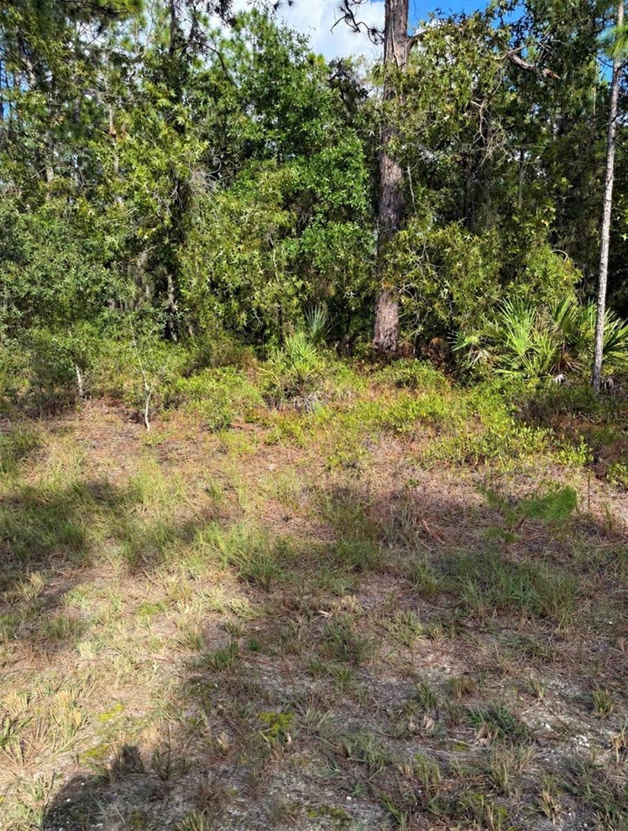 Property photo for 16154 MALDEN ROAD, Weeki Wachee, FL