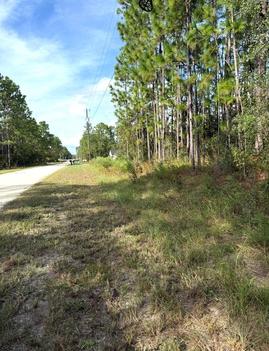 16154 MALDEN ROAD, Weeki Wachee, FL 34614 16154 MALDEN ROAD, Weeki Wachee, FL 34614