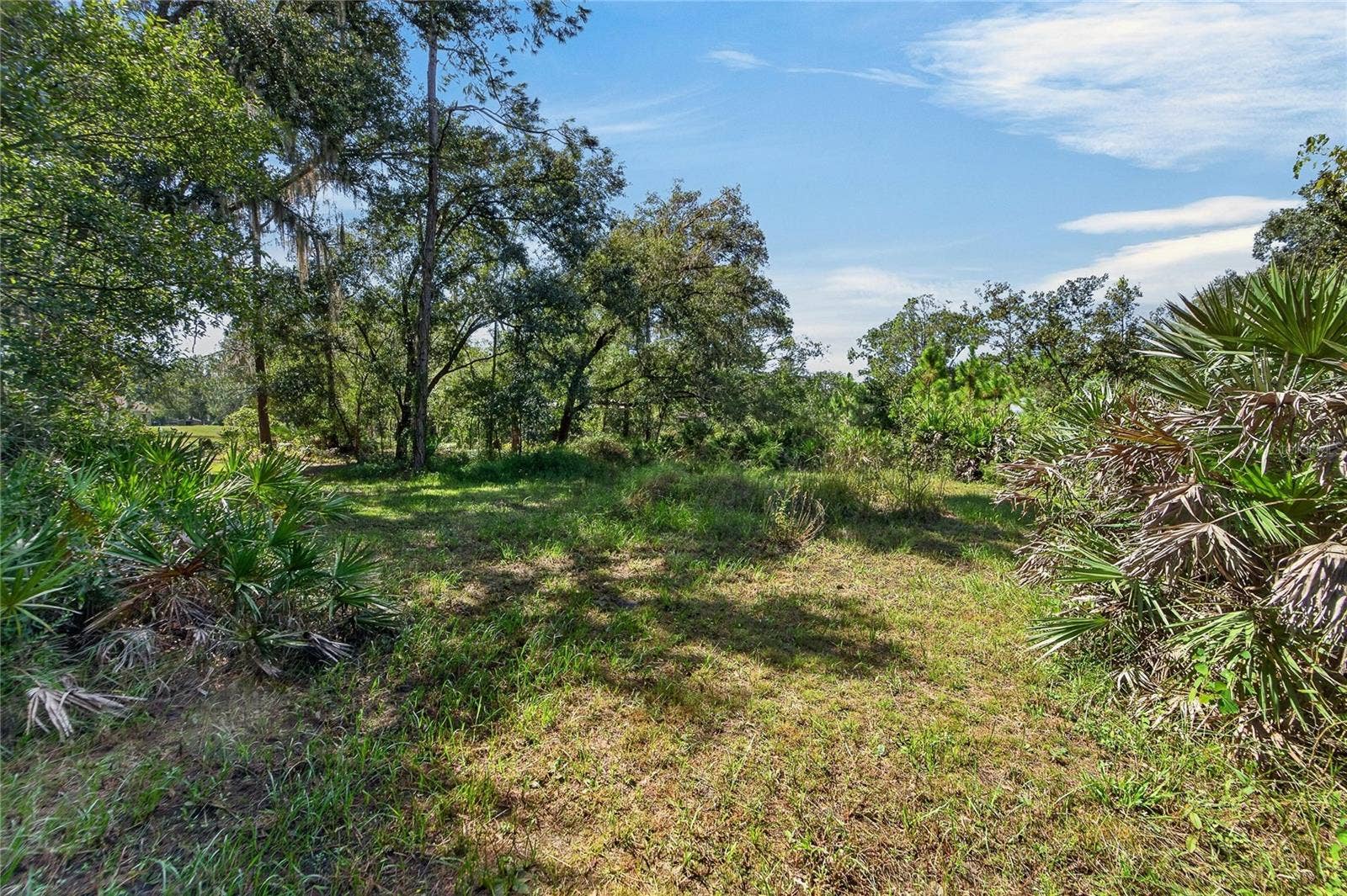 28329 LINDENHURST DRIVE, Wesley Chapel, FL 33544 Wooded lot with oines and oaks