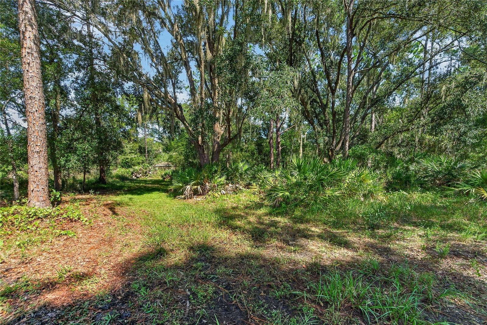 28329 LINDENHURST DRIVE, Wesley Chapel, FL 33544 28329 LINDENHURST DRIVE, Wesley Chapel, FL 33544