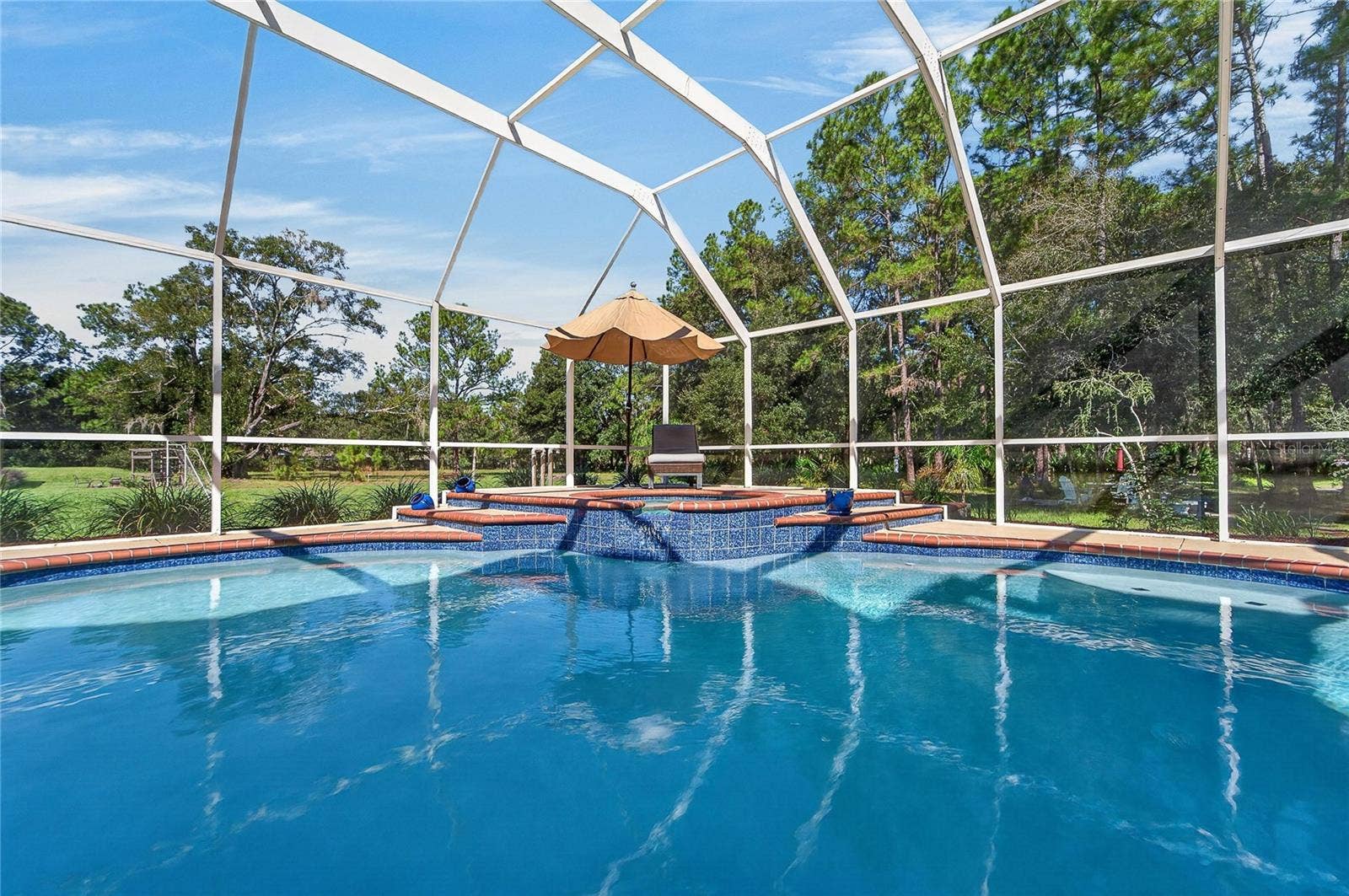 28329 LINDENHURST DRIVE, Wesley Chapel, FL 33544 Large screened in pool