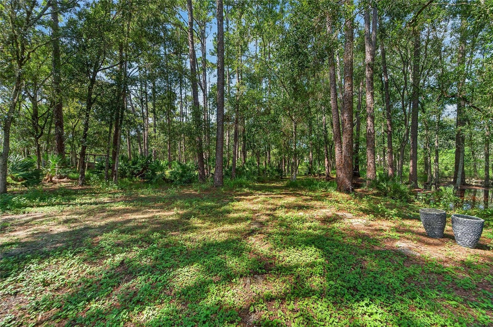 28329 LINDENHURST DRIVE, Wesley Chapel, FL 33544 Trails in the wooded lots