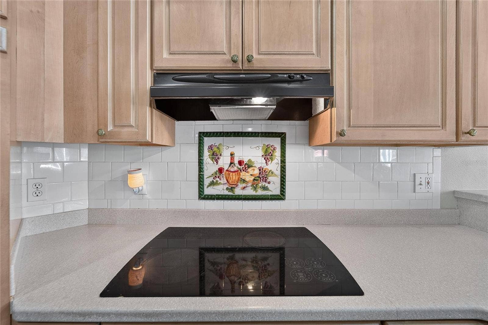 0 OLCOTT DRIVE, Wesley Chapel, FL 33544 Glass cooktop