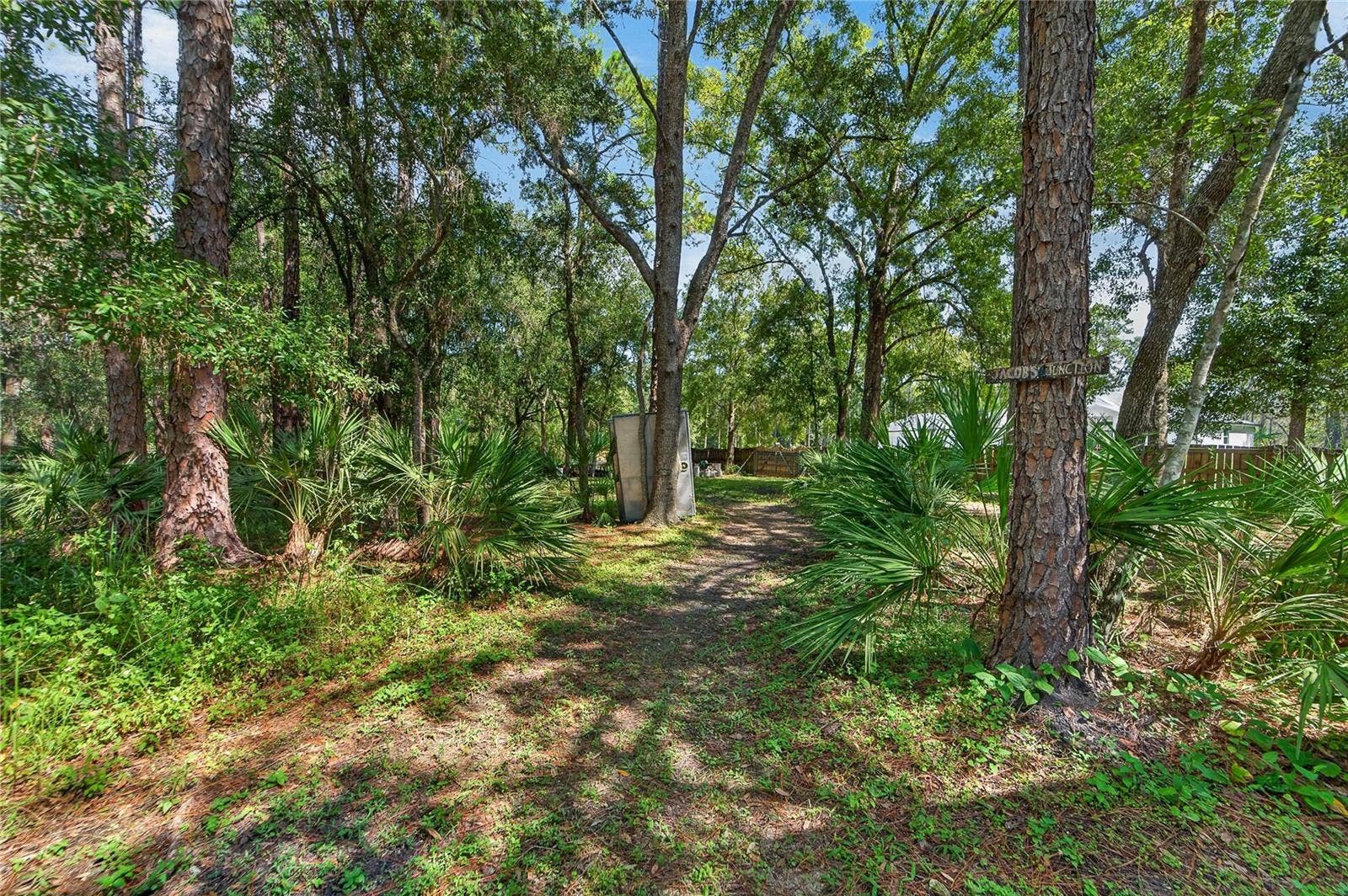 0 OLCOTT DRIVE, Wesley Chapel, FL 33544 Lots of trails on the wooded lots