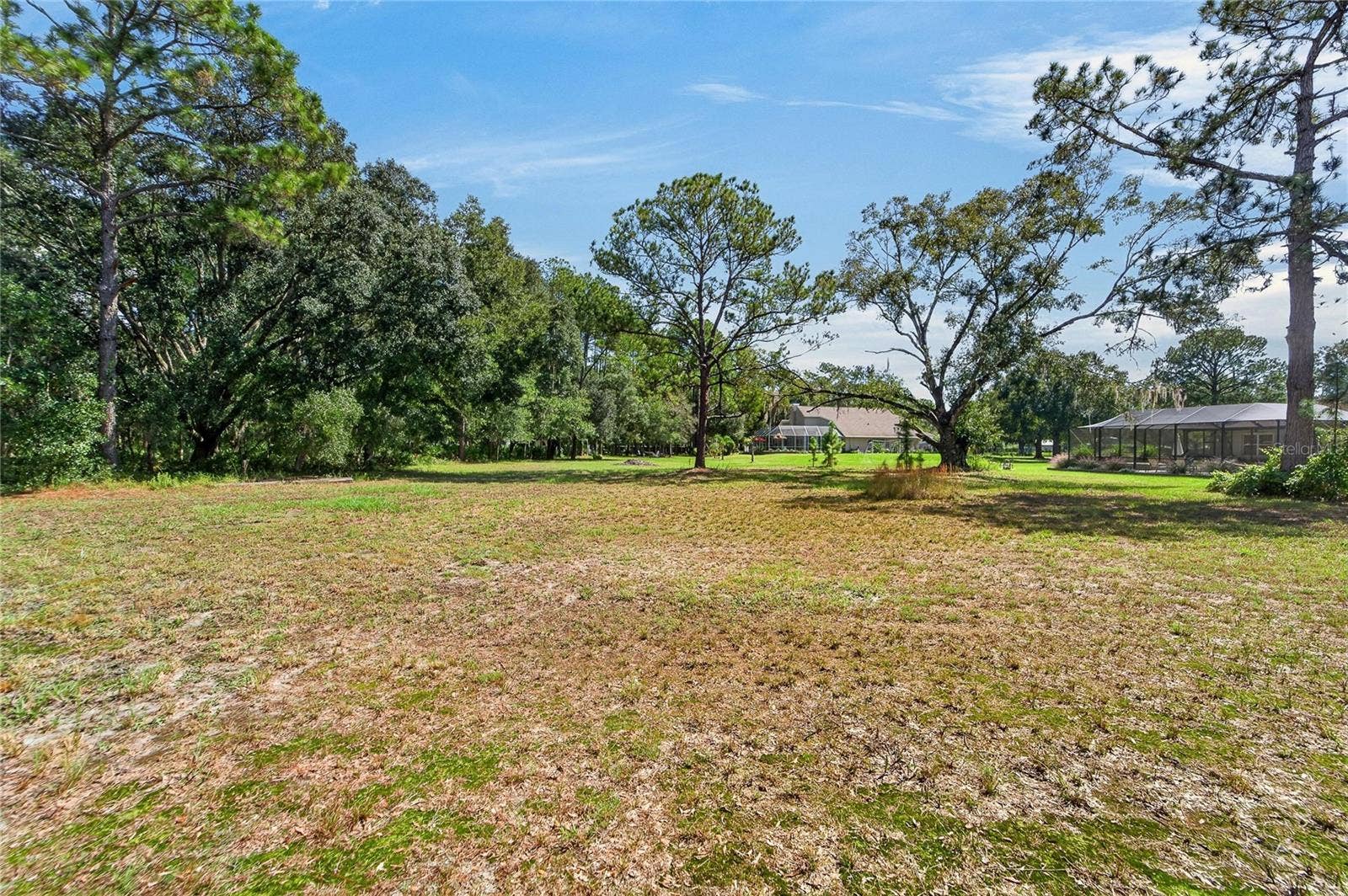 0 OLCOTT DRIVE, Wesley Chapel, FL 33544 Back area