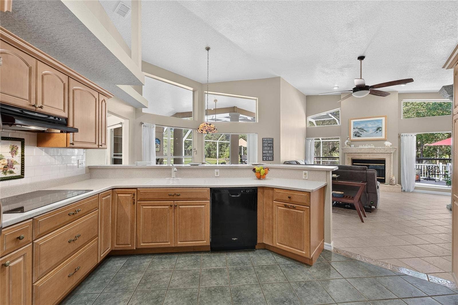 0 OLCOTT DRIVE, Wesley Chapel, FL 33544 Large kitchen