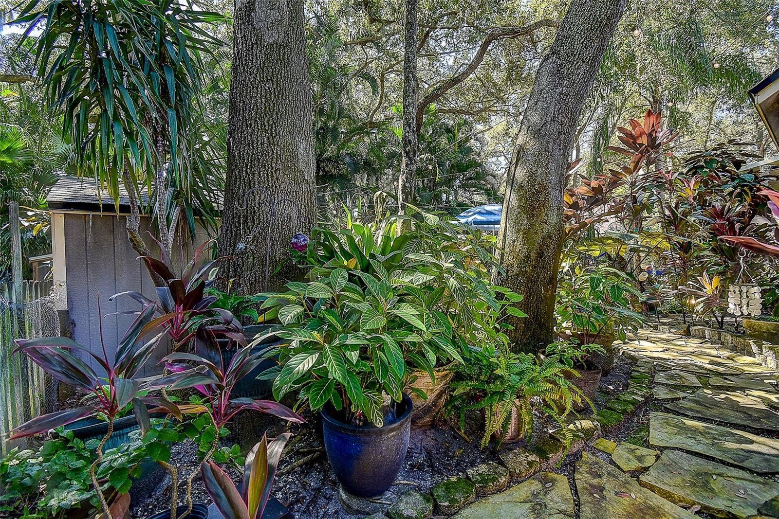 2665 BEAGLE PATH WAY, Palm Harbor, FL 34683 2665 BEAGLE PATH WAY, Palm Harbor, FL 34683
