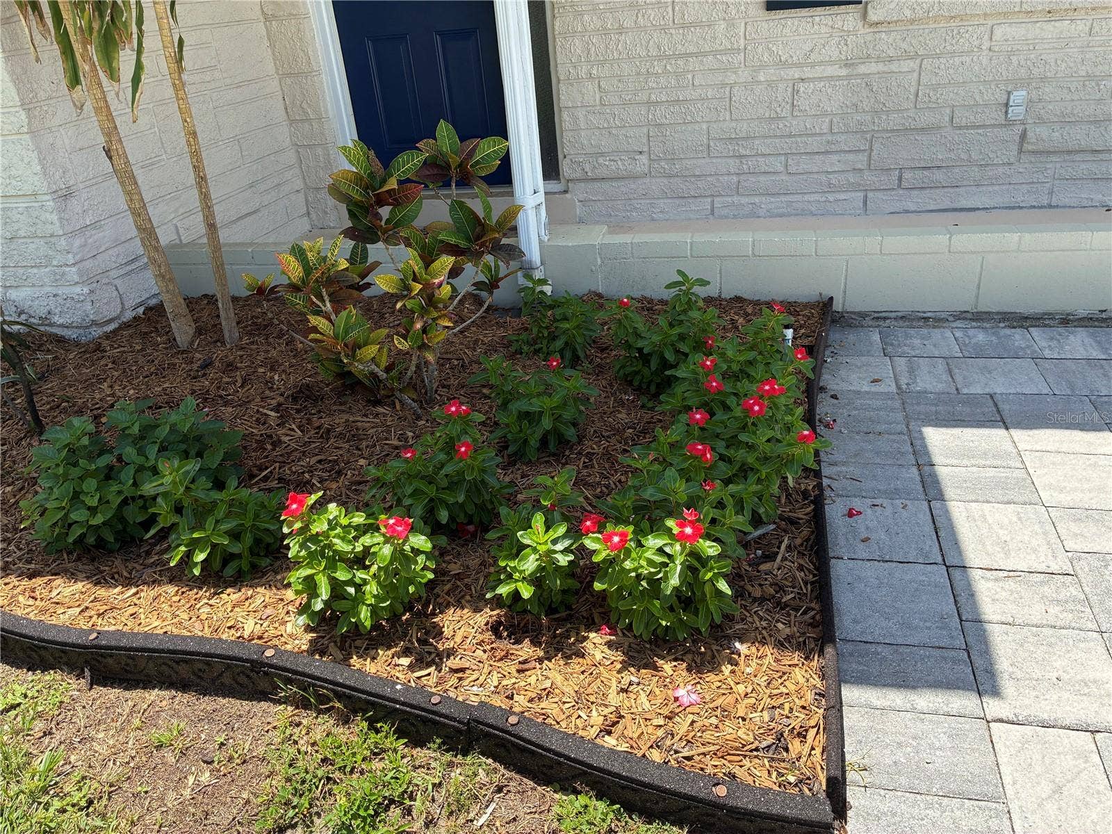 52 CYPRESS DRIVE, Palm Harbor, FL 34684 front garden