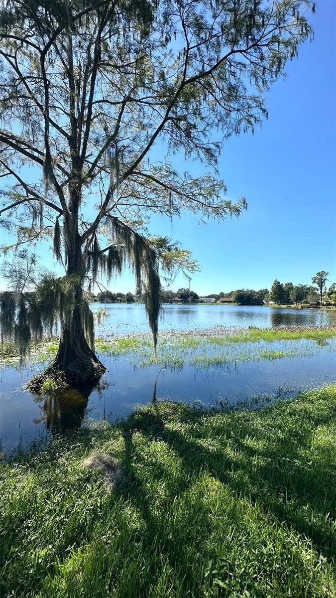 16634 BRIGADOON DRIVE, Tampa, FL 33618 16634 BRIGADOON DRIVE, Tampa, FL 33618