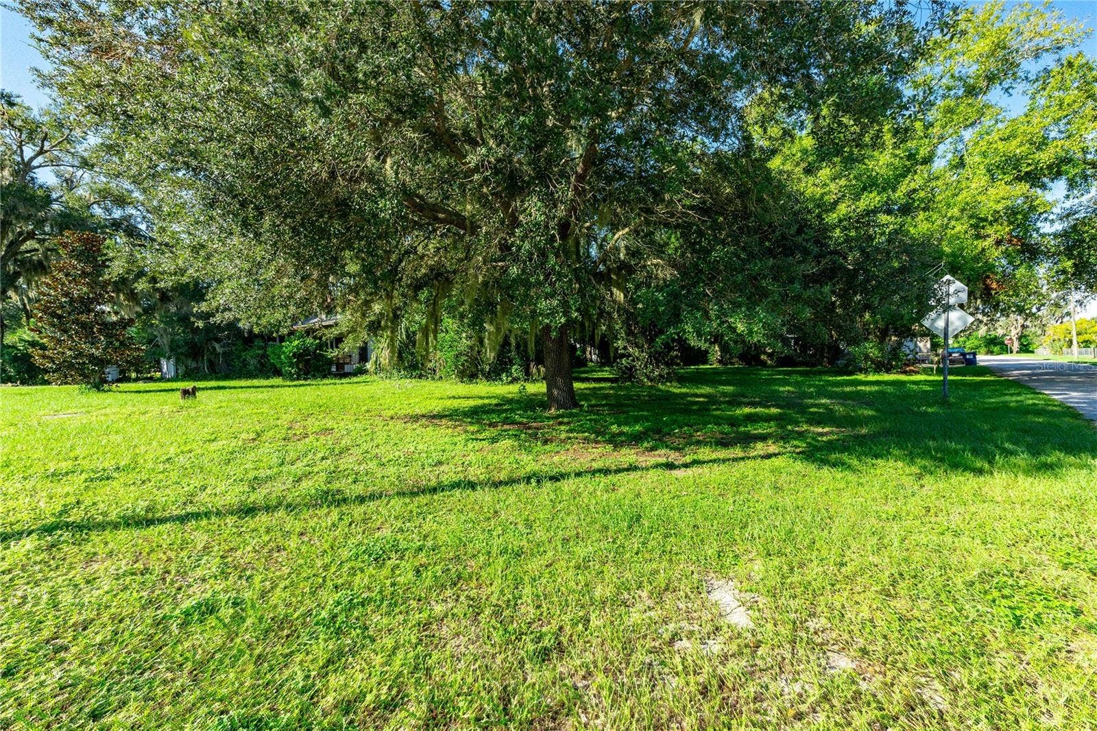 MAIN STREET, San Antonio, FL 33576