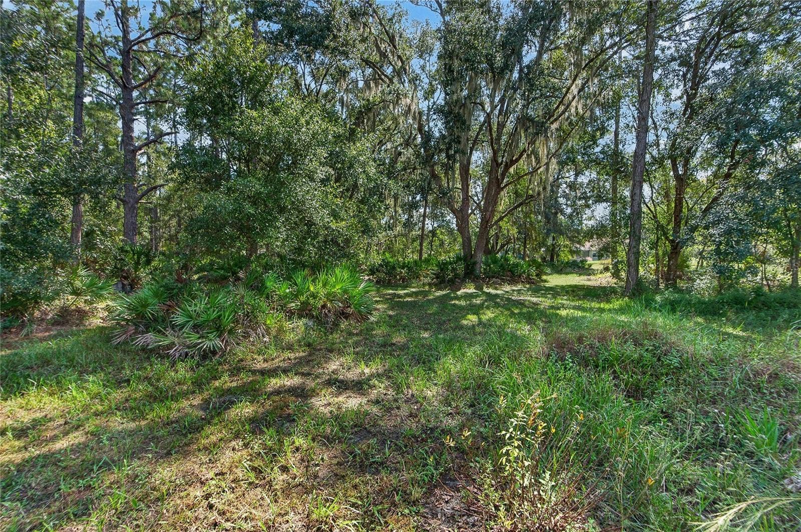 0 LINDENHURST DRIVE, Wesley Chapel, FL 33544 Trails in wooded lots