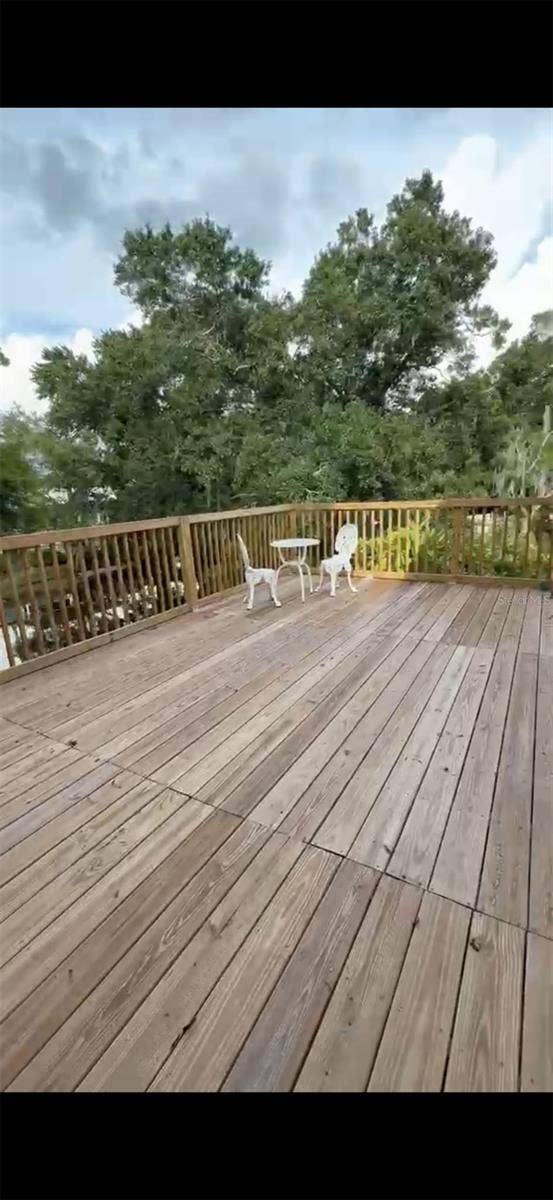 3101 N CANAL DRIVE, Palm Harbor, FL 34684