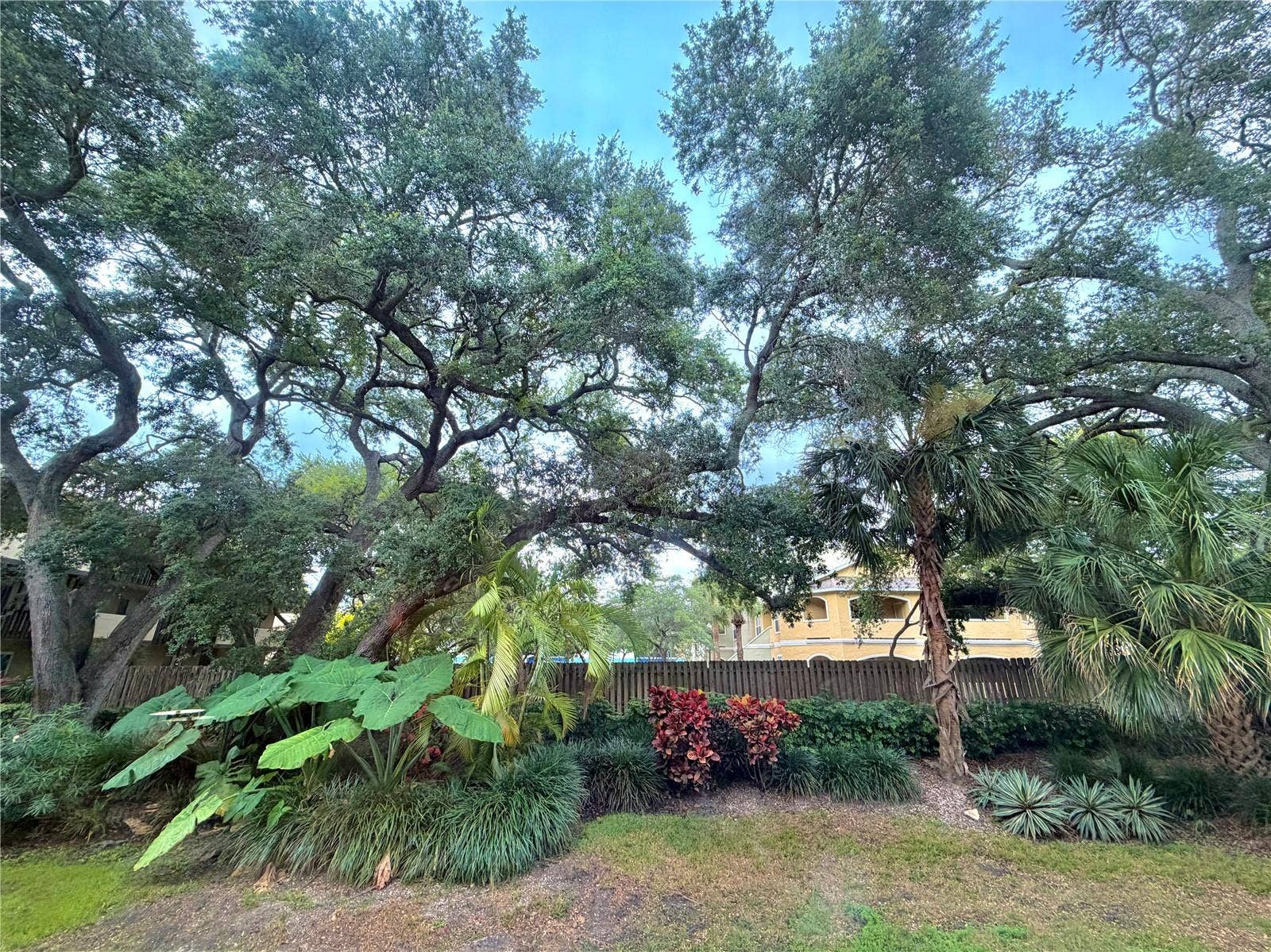 1241 S MARTIN LUTHER KING JUNIOR AVENUE, #B102, Clearwater, FL 33756 1241 S MARTIN LUTHER KING JUNIOR AVENUE, #B102, Clearwater, FL 33756